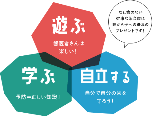 遊ぶ・学ぶ・自立する 虫歯のない健康な永久歯は、親から子への最高のプレゼントです